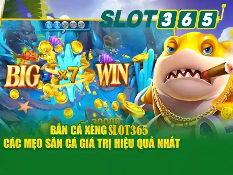 Truy Cập Bị Cấm