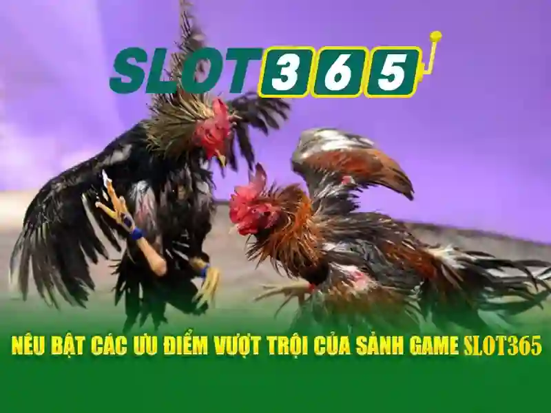 Ưu Đãi Slot365 Tái