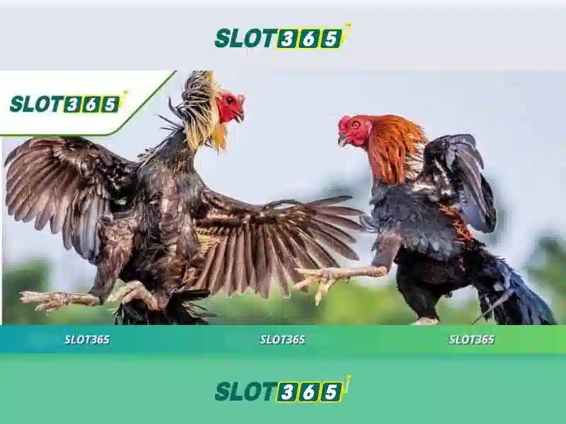 Ưu Điểm Rút Thưởng Slot365