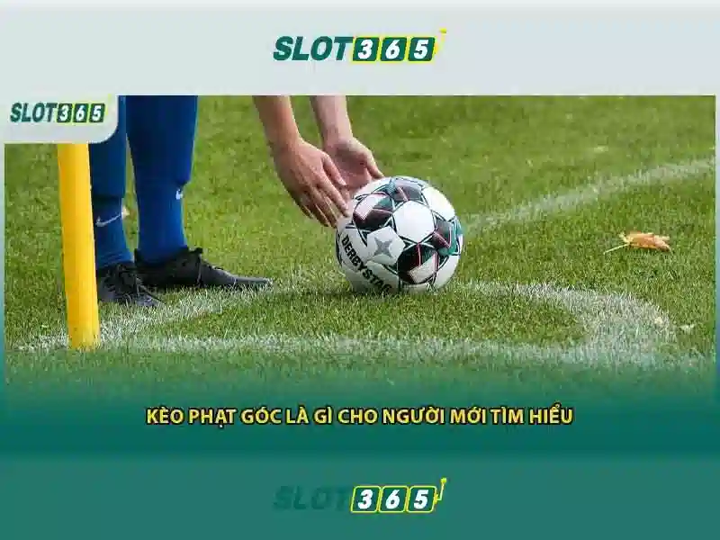 SLOT365 - Trải nghiệm cá cược chuyên nghiệp