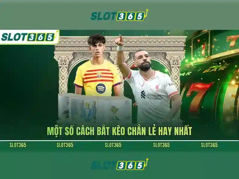 Slot365 Bet