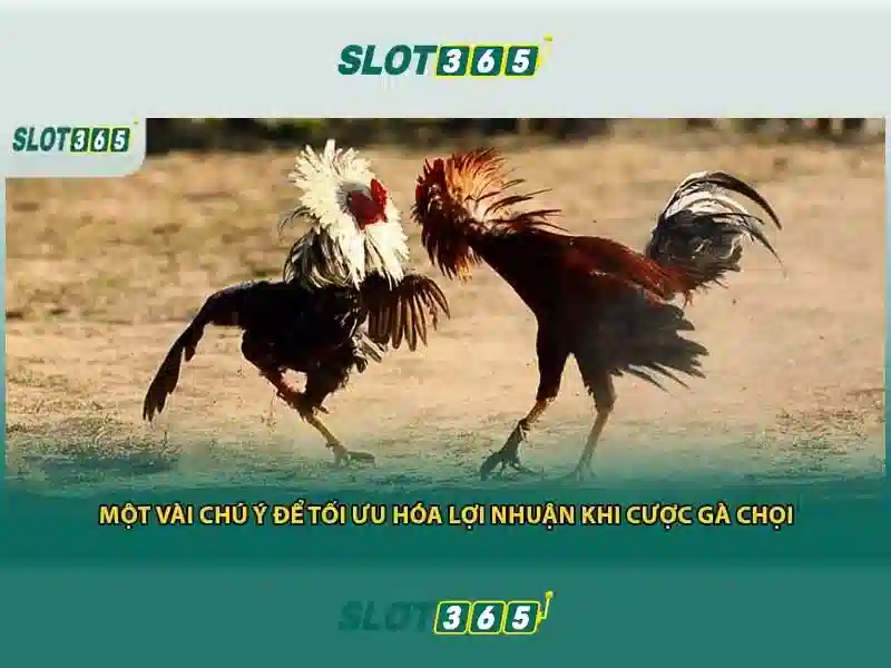 SLOT365 – Trải Nghiệm Game Bài Slot365 Độc Quyền, Trải Nghiệm Slot365 Không Giới Hạn