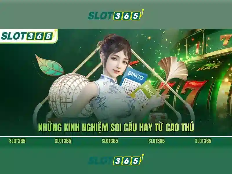 Quyền và nghĩa vụ người chơi