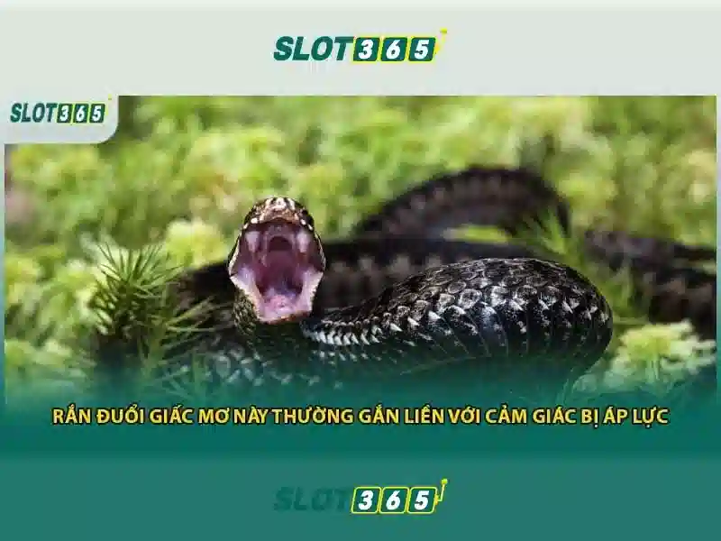 Đăng Ký Ngay Để Trải Nghiệm Khuyến Mãi Slot365