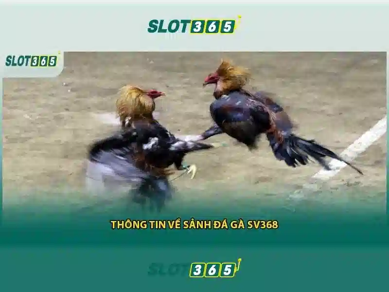 ưu đãi Slot365