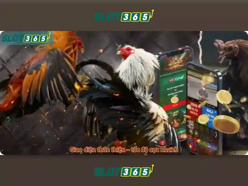 Tại Sao Nên Chọn SLOT365