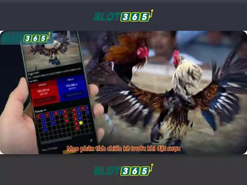 Tải App Slot365
