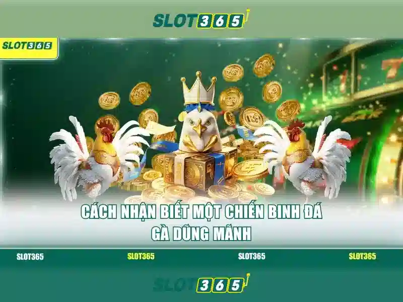 Trải Nghiệm Chơi Slot Tuyệt Vời