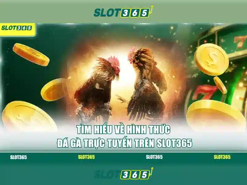 Tính năng Slot365
