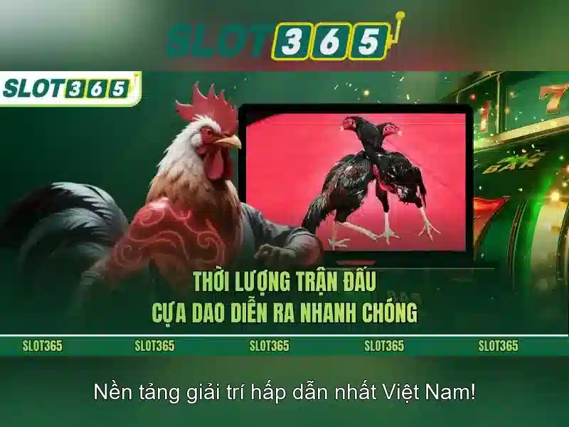 Slot365 - Trải Nghiệm Slot Đỉnh Cao Với Giao Diện Mới 2026