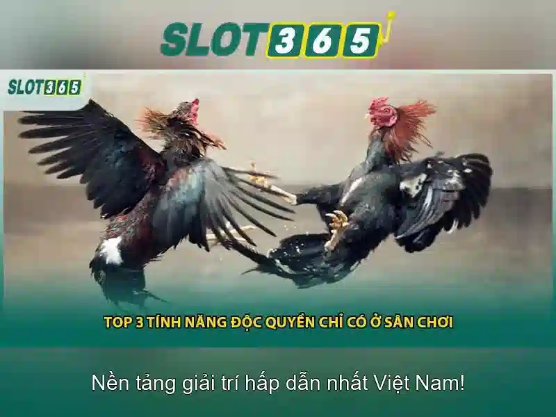 Chính Sách Bảo Mật SLOT365
