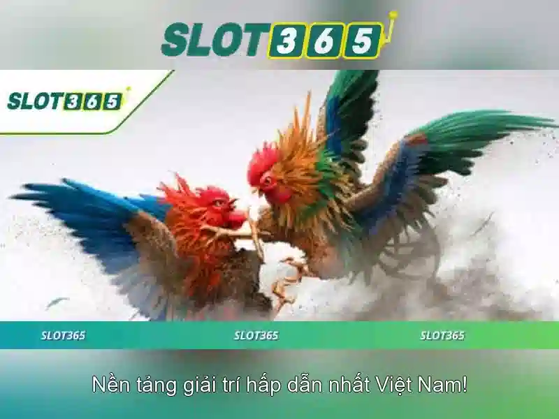Trải nghiệm cá cược đỉnh cao tại SLOT365