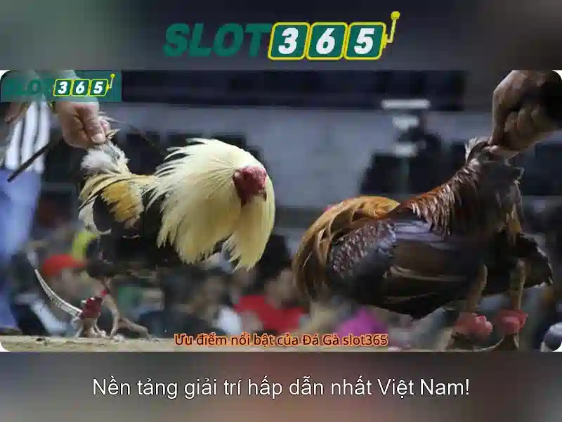 SLOT365 có lừa đảo không