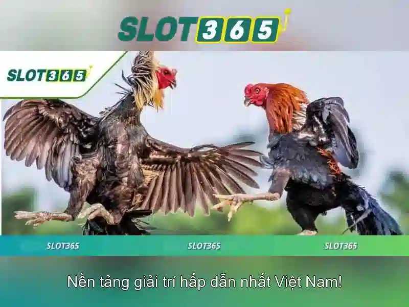 Slot365 chính thức