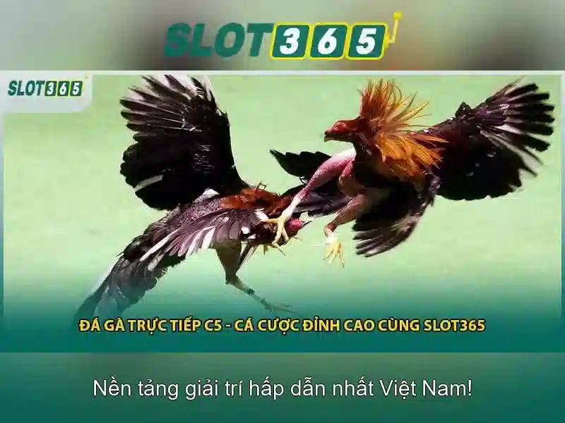 Tính Năng Độc Quyền Của Slot365