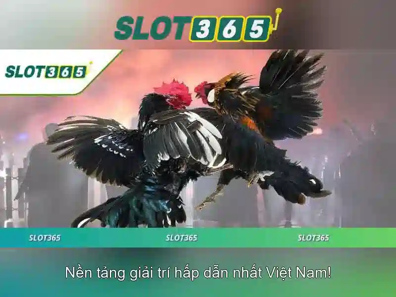 SLOT365