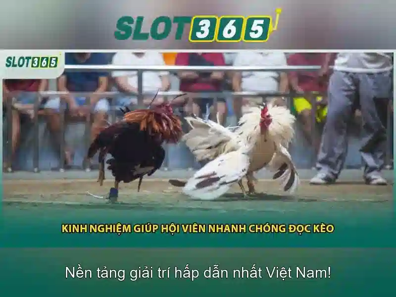 SLOT365 Đa Dạng Thể Loại Trò Chơi