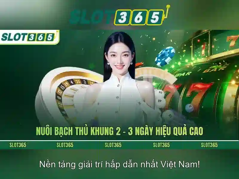 Câu hỏi thường gặp SLOT365 – Hướng Dẫn Chi Tiết Về Các Vấn Đề Thường Gặp