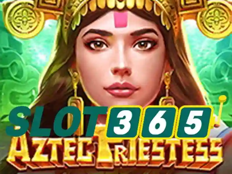 slot365 tải