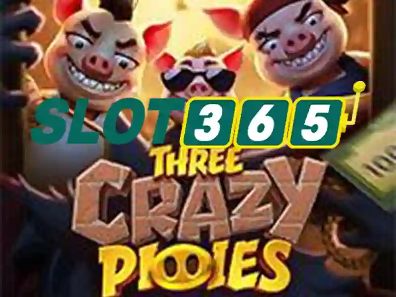 Trải nghiệm Slot365